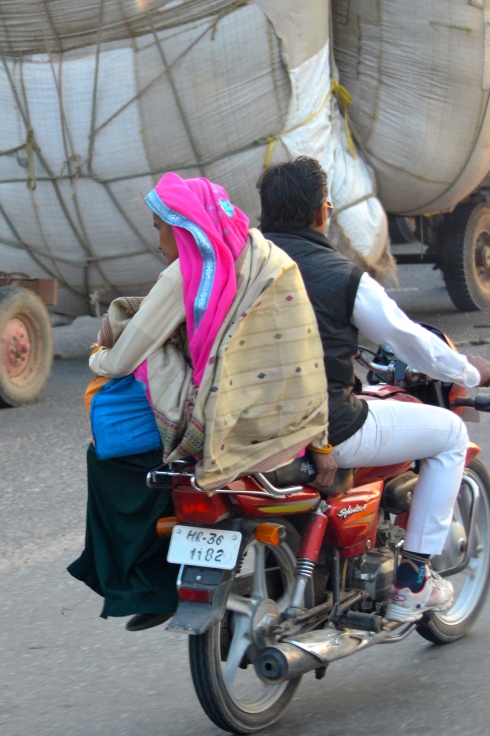 Also, not common sight - beautiful saris on women riding on the backs of mopeds.