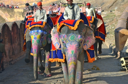 Beautifully adorned elephants.