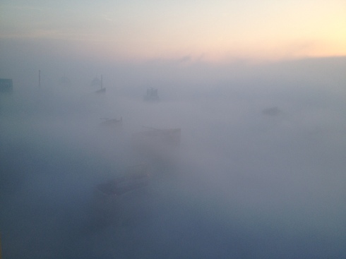 One morning outside our window - and keep in mind we are on the 44th floor!
