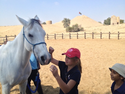 Molly petting an Arabian horse.