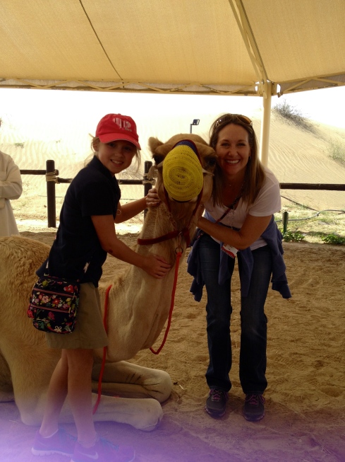 There's always a camel around to hug here in Dubai.